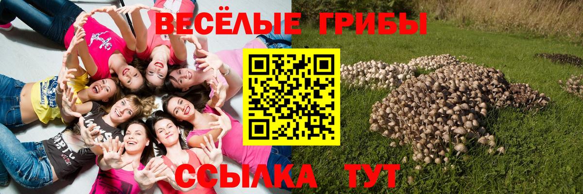 Псилоцибиновые грибы прущие грибы Коряжма