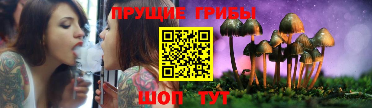 Коряжма  Галлюциногенные грибы Magic Shrooms  Псилоцибиновые грибы Cubensis  Вход с VPN 