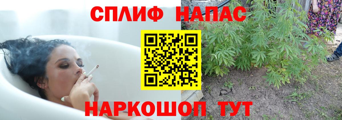 Коряжма  Марихуана сатива  Вход с VPN  Каннабис THC 21% 